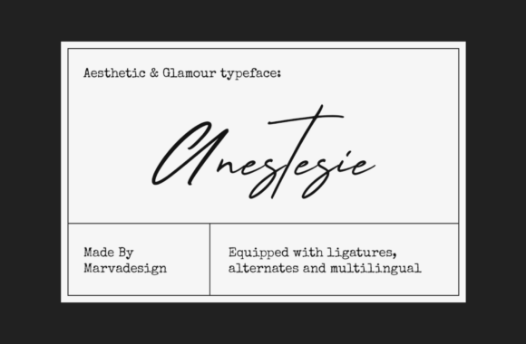 Anestesie: The Script Font for Refined Branding