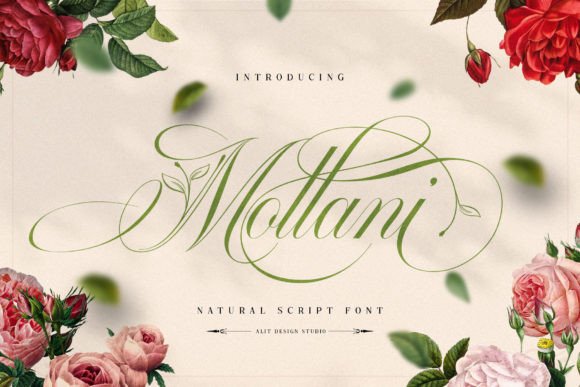 Mollani: Where Nature Meets Modern Script Typography